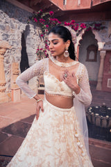 Beige Net & Viscose Georgette 3D Floral Embroidered Lehenga Set