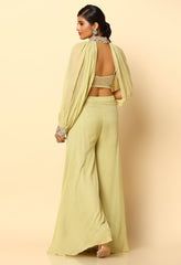 Pista Green Sharara Set with Detachable Sleeves – Ethnic Wear