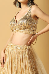 Metallic Stripe Embroidered Lehenga