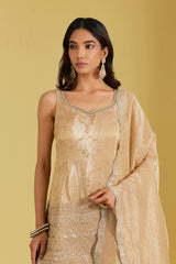Peach Tissue Embroidered Gharara Set
