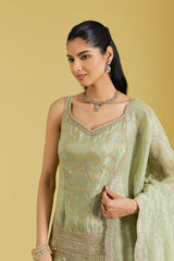 Pista Tissue Embroidered Gharara Set