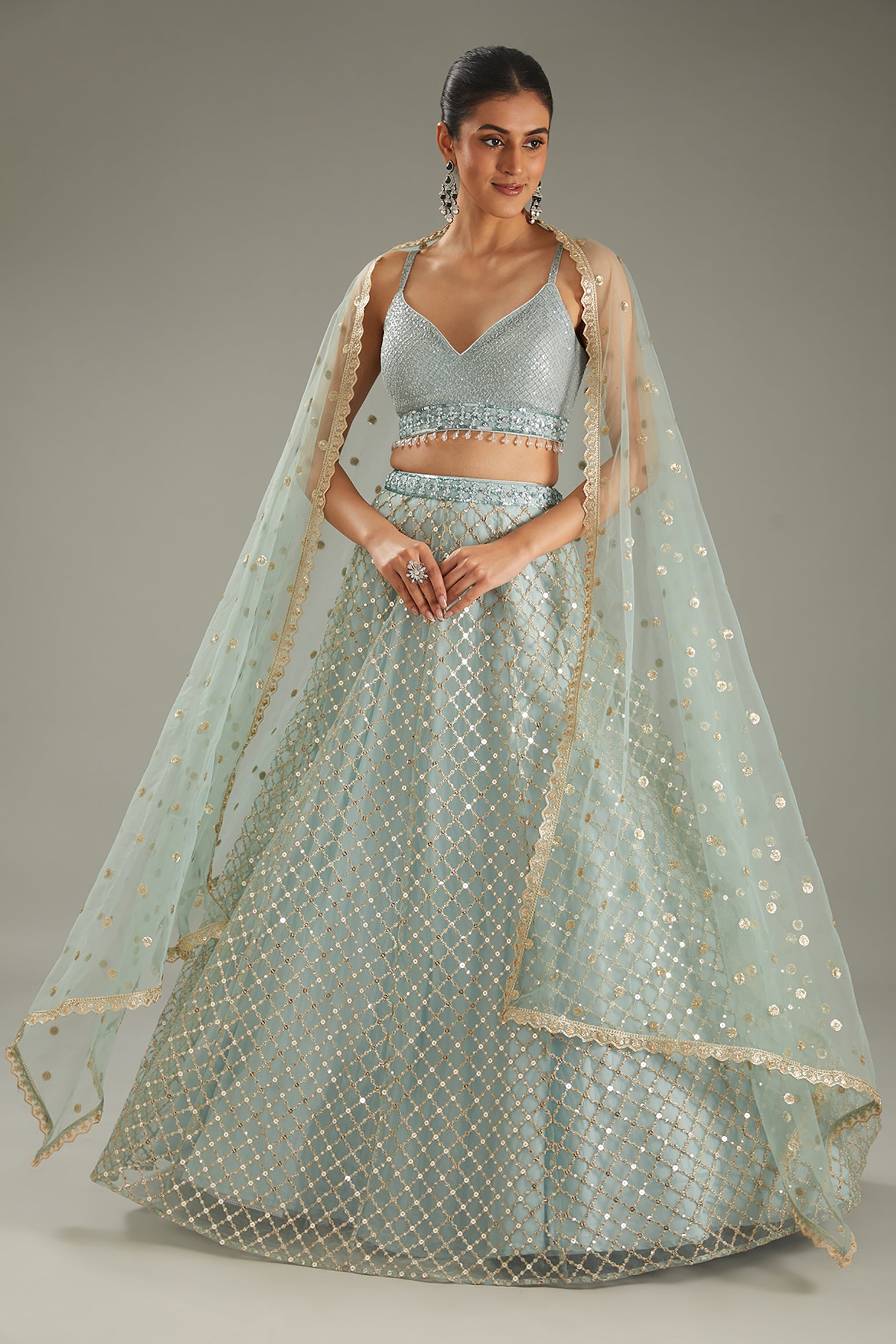 Sky Blue Net Zari Embroidered Lehenga Set