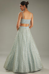 Sky Blue Net Zari Embroidered Lehenga Set