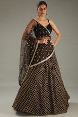 Black Net Zari Embroidered Lehenga Set