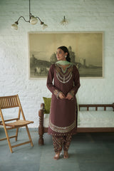 Brown Silk Net V-neck Embroidered Kurta Salwar Set