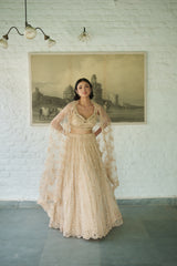 Ivory Net V-neck Embellished Lehenga Set