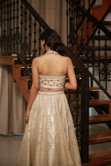 Pista Floral Jaal Stone & Pearl Lehenga Set