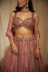 Peach Patra & Zari Embroidered Gharara Set