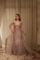 Mouse Abstract Jaal Cutdana & Sequin Lehenga Set