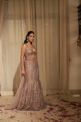 Mouse Abstract Jaal Cutdana & Sequin Lehenga Set
