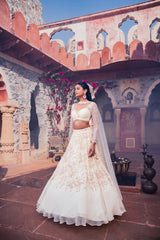 Beige Net & Viscose Georgette 3D Floral Embroidered Lehenga Set