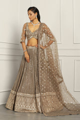 Sequin Embroidered Lehenga