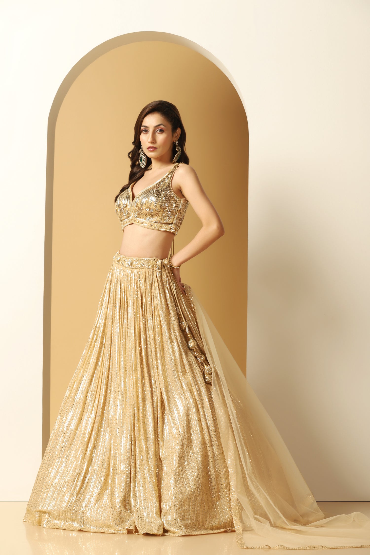 Metallic Stripe Embroidered Lehenga