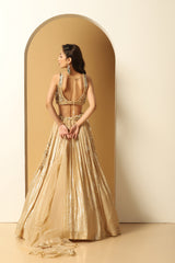 Metallic Stripe Embroidered Lehenga
