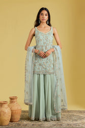 Pista Net Embroidered Gharara Set