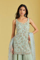 Pista Net Embroidered Gharara Set
