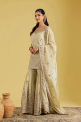 Beige Traditional Motif Embroidered Garara Set