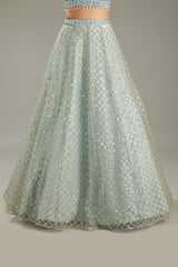 Sky Blue Net Zari Embroidered Lehenga Set