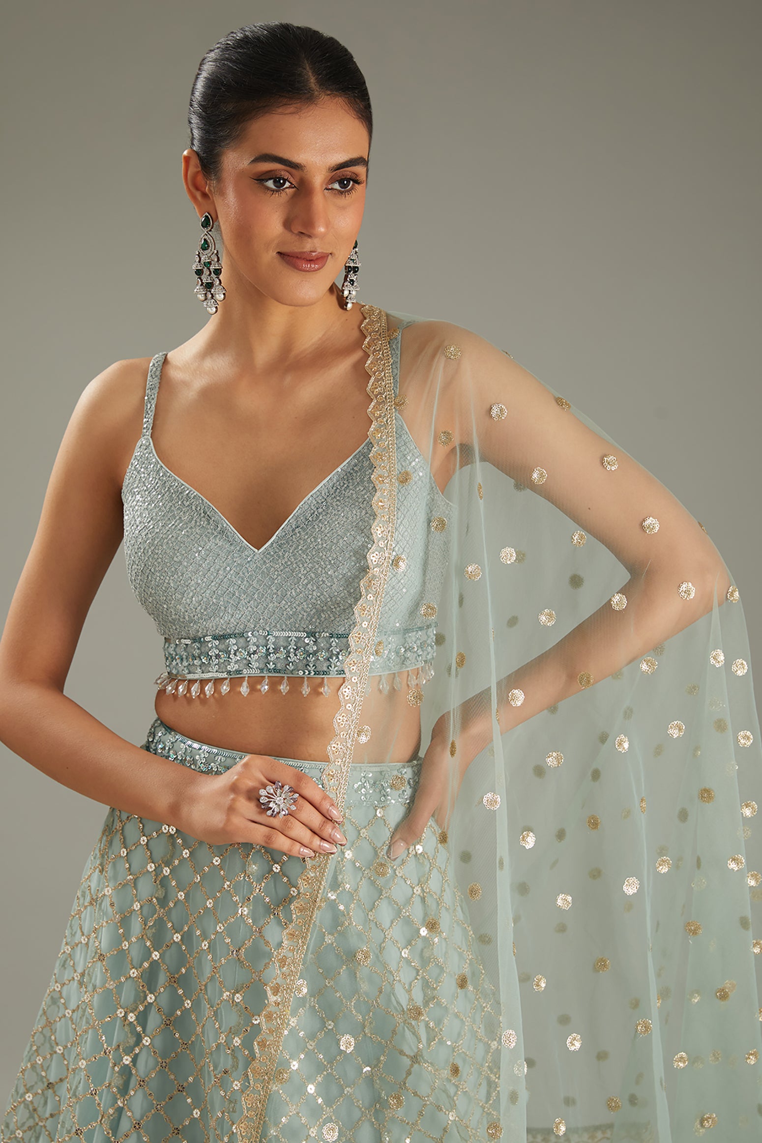 Sky Blue Net Zari Embroidered Lehenga Set