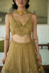 Gold Net Scoop Neck Geometric Embroidered Lehenga Set