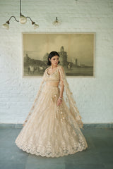 Ivory Net V-neck Embellished Lehenga Set