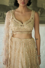 Ivory Net V-neck Embellished Lehenga Set