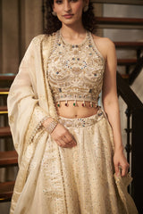 Ivory Floral Jaal Stone & Pearl Lehenga Set