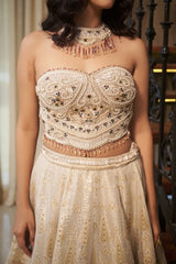 Pista Floral Jaal Stone & Pearl Lehenga Set