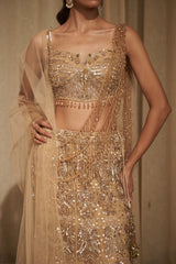 Gold Mirror, Cutdana & Moti Embellished Lehenga Set
