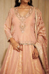 Peachey Pink Traditional Floral Dabka & Nakshi Lehenga Set